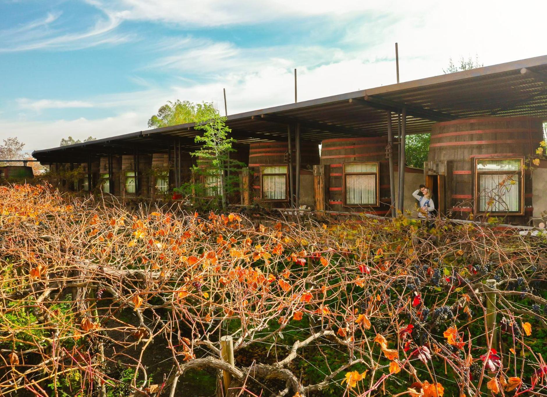 Cava Colchagua Hotel Boutique Santa Cruz Chambre photo