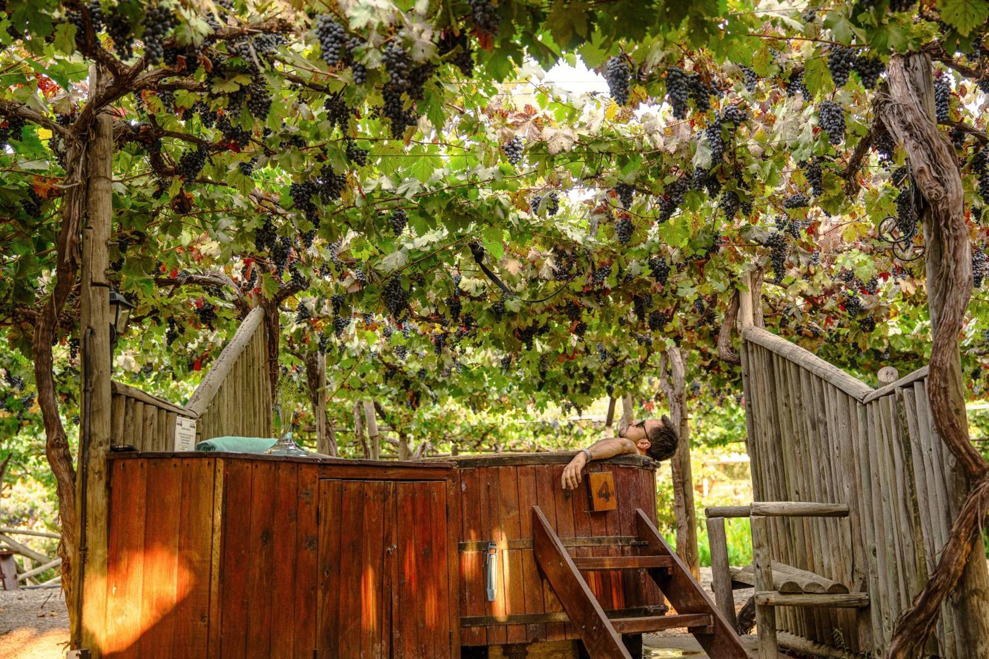 Cava Colchagua Hotel Boutique Santa Cruz Extérieur photo