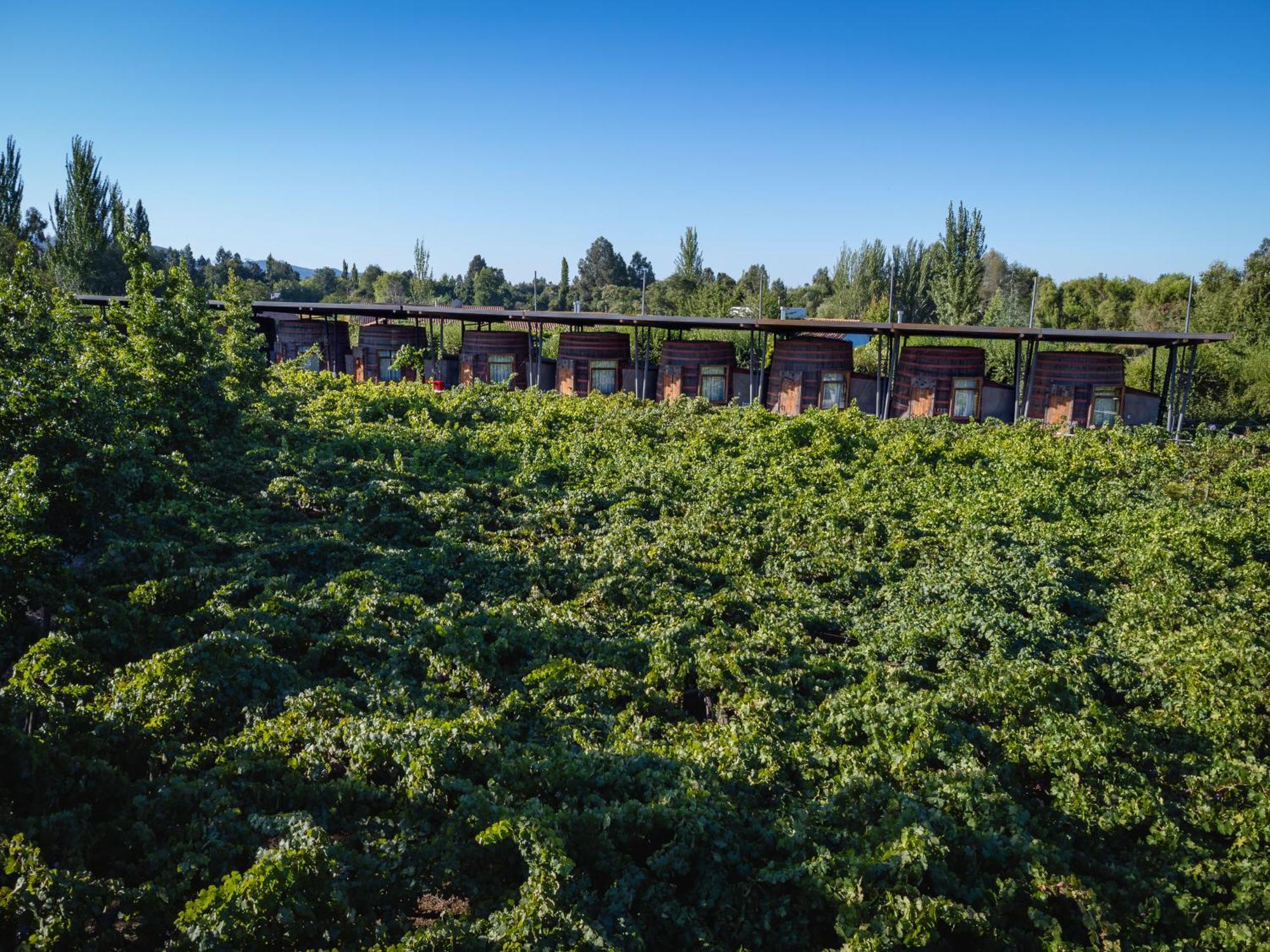 Cava Colchagua Hotel Boutique Santa Cruz Chambre photo